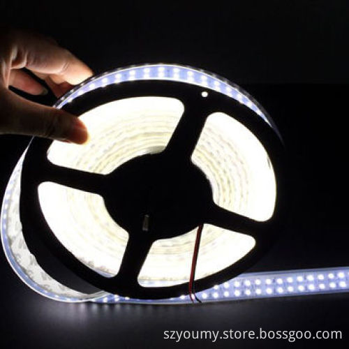 Double Row LED Flexible Strip Light, SMD 3528, Waterproof, 240 LEDs/m, Pure White